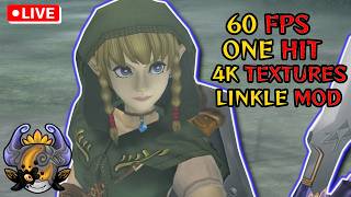 PC Port Twilight Princess MODDED but i'm a ONE HIT