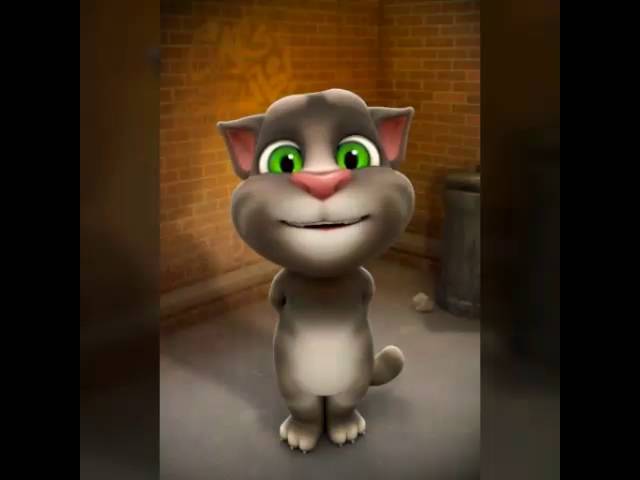 Tom Le Chat Et Ses Amis Saison 1 Ep 1 Youtube Tom Le Chat Et Ses Amis Saison 1 Ep 1 Youtube