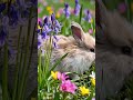 Living the soft life in nature