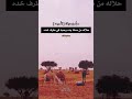 ابن دوغان عناني وليفي حلاله من لمس يده وحبه في طرف خده اكسبلور