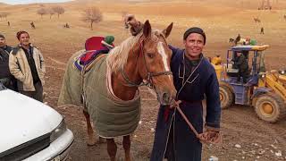 Partal Otni Ayirgani Zoti Nexia