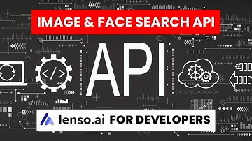 Reverse Image Search API | Lenso.ai for Developers