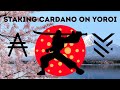 Staking Cardano Using Yoroi Wallet, ADA Tutorial, Passive Income Cryptocurrency