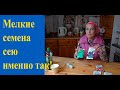 Эффективный способ посева мелких семян без земли