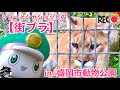 新幹線変形ロボ シンカリオン ジョーとシャショットの街ブラ in 盛岡市動物公園 〜2018秋〜 ふりふりトーク シャショットでございます! Shinkalion toys