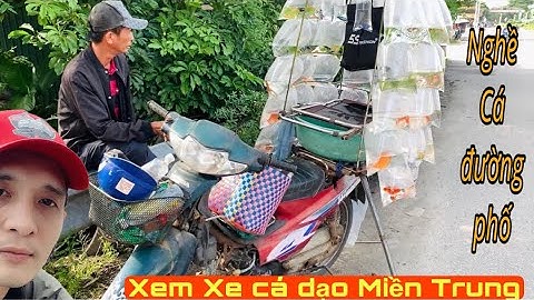 Ngía sơ xe Cá Cảnh dạo Miền Trung xem có gì - Thái Salem vê lốc