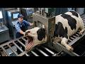 How $50,000 Cow Becomes Milk, Meat &amp; Leather 😱 | Complete Factory Process