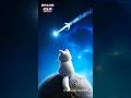 宇宙猫~Space Cat😸Watering in Spa⭐ #cats #cartoon #catlovers #shorts #funny