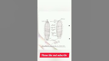 #Zoology practical file#Bsc 5 semester#paper1# part1 #shortvideo #shorts