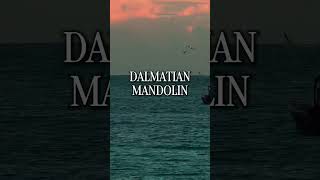Mediterranean Sunset Vibes 🌅 | Dalmatian Mandolin & Reggae #shorts #chillout