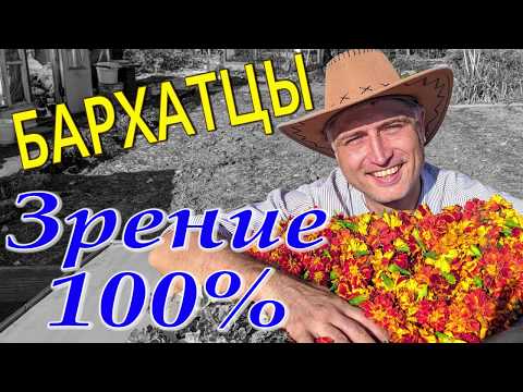 Marigolds for sharp vision. Restore your eyesight. 100% vision.