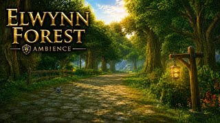 Return To Elwynn Forest | World of Warcraft Music and Ambience in 4K (3 Hours)