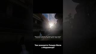 Чем занимается Гильдия Магов в Морровинде? #fullrest #morrowind #прохождение #гильдиямагов