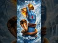 om namo shivay #Mahadev#trend#YOUTUBE