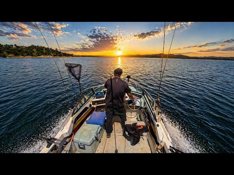 Beautiful Day Fishing Folsom Lake - Catch and Cook
