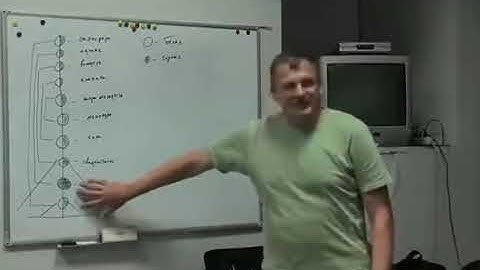 Цикл лекций по "Системе 7Я" - N5.