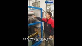 Fd-P5 Vaccine Production Freeze Dryer