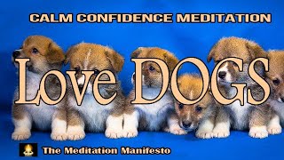 FEAR of DOGS  | Meditation | Relaxing | Confidence | Subliminal Affirmation | Stress Relief #letsfly by The Meditation Manifesto 64 views 4 months ago 40 minutes