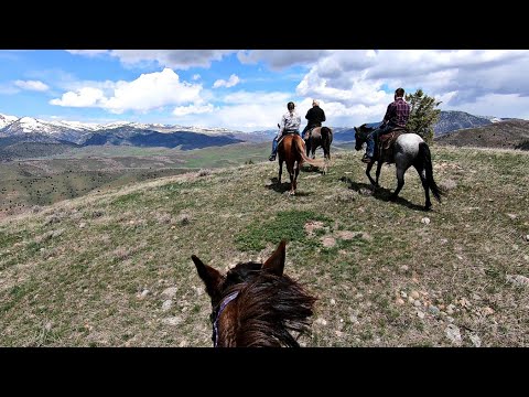 Horseback riding Cache National Forest, Utah May 2020