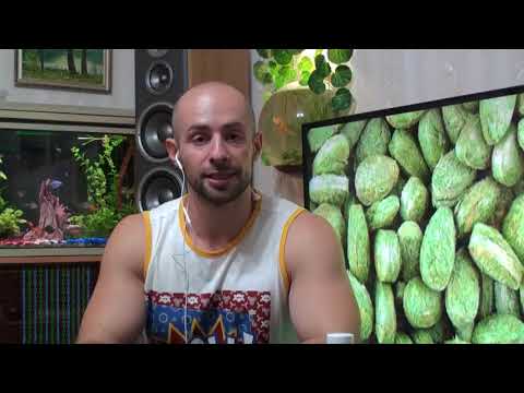 Обзор и рекомендации
