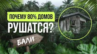 картинка: Кто и как зарабатывает миллионы Бали?