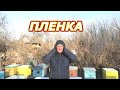 Еще раз о пленке в ульях. Пленка Нужна.