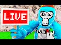 🔴 UPDATE LIVE! #gorillatag  🔴
