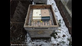 видео: ошибки пчеловода - густой сироп или жидкий, для зимней подкормки пчел картинка: ошибки пчеловода - густой сироп или жидкий, для зимней подкормки пчел