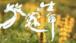 生命的綻放 ( 4K UHD ) - 何在彬會長 行家茶道研究會