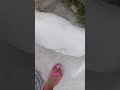 tilín tilín tilín tilín tilín tilín tilín tilín tilín tilín tilín tilín tilín tilín tilín tilín