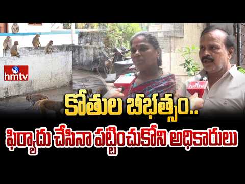 కోతుల బీభత్సం.. ఫిర్యాదు చేసినా పట్టించుకోని అధికారులు| Monkeys Hulchul In Vidyanagar HYD | hmtv - HMTVNEWS