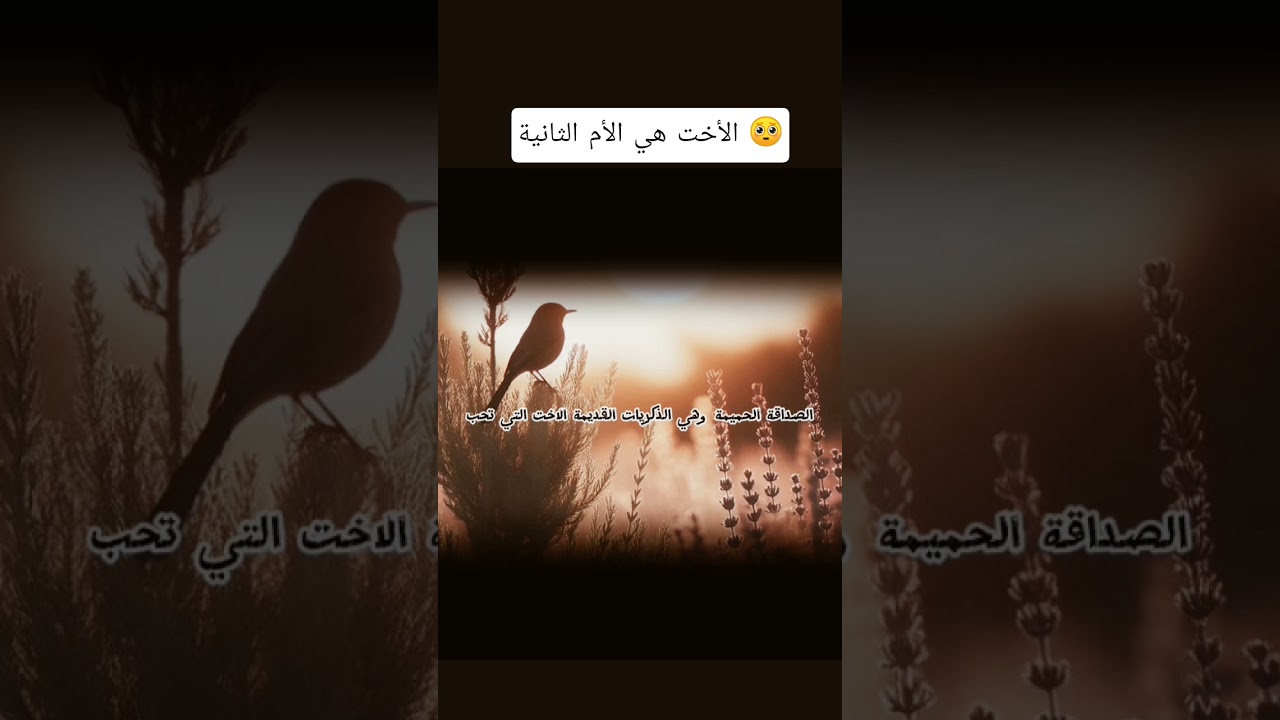 الأخت هي الأم الثانية 🥺؟ #اكسبلور #المصحف #اقتباسات #العثيمين #لايك #حالات_واتس #تصميمي