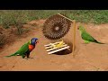 Creative Unique Using Wood Cutting Machine Work 100%.