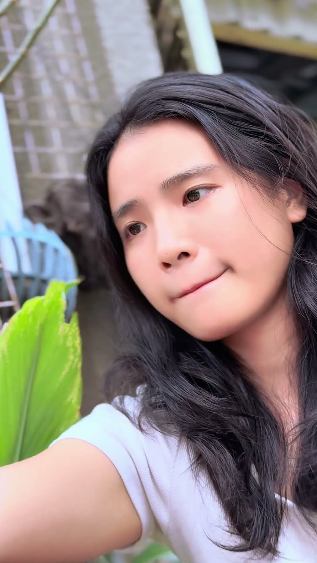 Chủ quyền [BEN EAGLE] #beneagle #kungfu #martialarts #fighting #action #entertainment
