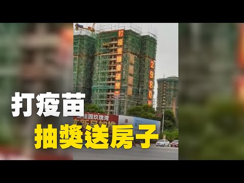 东莞，打疫苗抽奖送房子