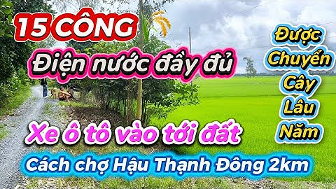 ( tập 23 ) 15 công đất làm vườn tại Tân Thạnh - Long An,cách chợ 2km,ô tô tới đất - LH 0354.158.558