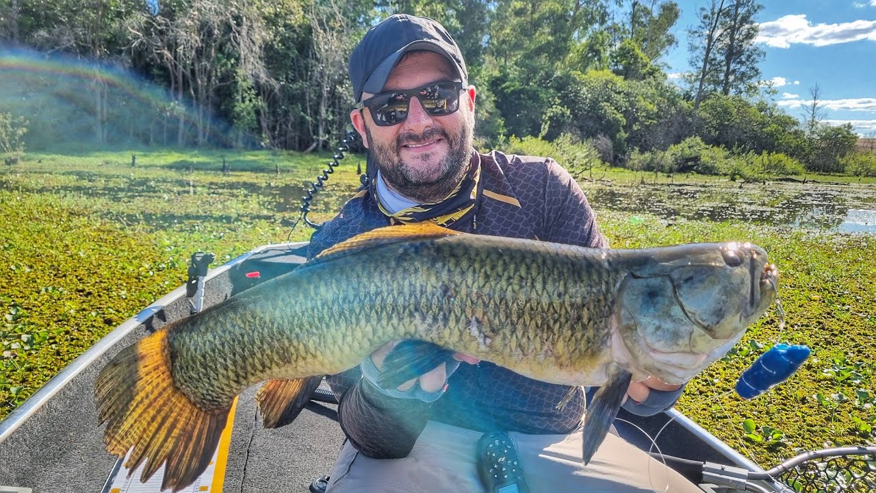 PESCARIA DE TRAIRA NA BARRAGEM DE ERNESTINA - RIO JACUI - DIA 2 - O TESOURO ESCONDIDO