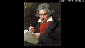 Beethoven - String Quartet no. 7 in F major, op. 59-1 “Rasumovsky no. 1”. I. Allegro