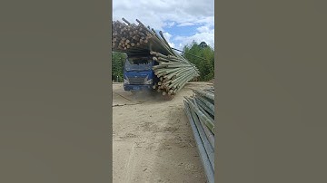 Simple Techniques to Safely Unload Bamboo from a Truck