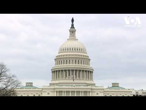 სტუდია ვაშინგტონი 13 11 20