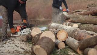 Підготовка до зими, заготівля дров в Карпатах 2021