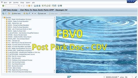 SAP FBV0 Post Cash Disbursement Voucher CDV