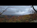 Woods walk on my hunting grounds #survival #preppingcommunity #hudsonvalley