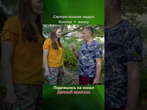 ИСКОРЕНЯЮЩАЯ обработка В