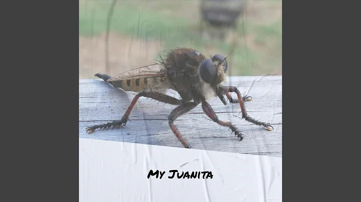 My Juanita