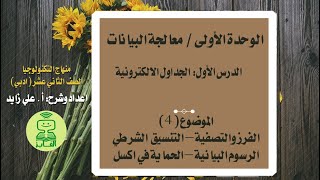 الفرز والتصفية - التنسيق الشرطي - الرسوم البيانية - الحماية ( درس الجداول الالكترونية)  توجيهي ادبي