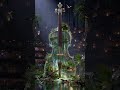 "Symphony of Nature" 🌿🎶#آرامش #motivation #vairalvideo #طبیعت#سمفونی