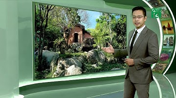 Thời tiết du lịch 30/08/2019: Thời tiết Đà Nẵng tốt trong 2 ngày cuối tuần| VTC14