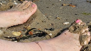 Candid Beach Feet