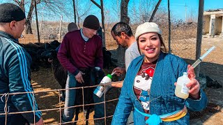 UZBEKISTAN!Life of nomadic shepherds! HARD work, bathing sheeps. Let's cook meat and potatoes!